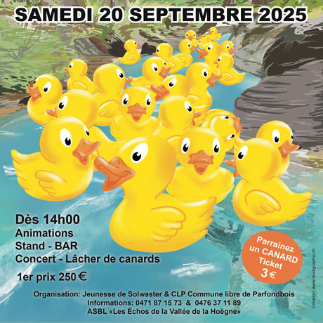 DuckGraphic - Affiche - Course de canards Belgique 2025